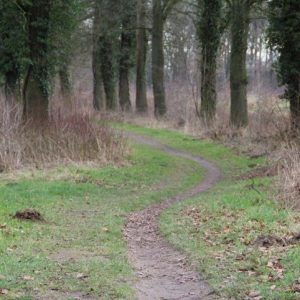 Mindful wandelen