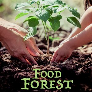 Film: FoodForest