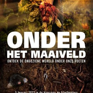 Onder het Maaiveld