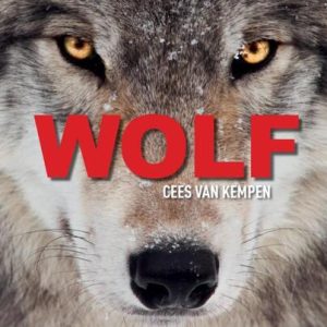 FILMHUIS: De wolf in Nederland